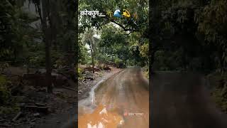 पावसात माझ कोकण🌊🌴🤩 kokan virlvideo कोकणसुख पावसाळा [upl. by Yevre]