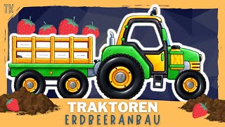 Traktor amp Trecker ⭐ Erdbeeranbau  Kindervideos  Kinderfilme  telekids [upl. by Conah167]