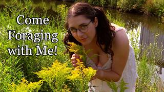 Foraging on our Farm in the Height of Summer [upl. by Clarisa]