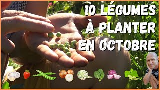 10 légumes à planter en octobre au potager [upl. by Sidell259]