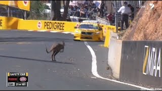 Bathurst vs Kangaroos [upl. by Nivrae]