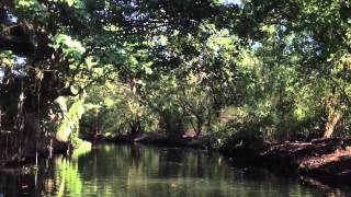 Magique Rivière Salée Baradères Haïti [upl. by Sergias291]