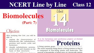 Biomolecules Class 12 Chemistry  Protein structure  Denaturation  ncert chemistry class 12 [upl. by Cahra]