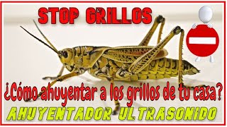 Sonido para ahuyentar Grillos 🦗🦗 [upl. by Tony345]