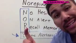 Psychiatric Pharmacology introduction norepinephrine dopamine serotonin part 1 of 30 [upl. by Ennaer589]