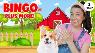 Bingo  More Nursery Rhymes amp Kids Songs  Ms Rachel [upl. by Lednek493]