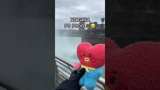 I feel like it’s customary to yell Niagara PoPo whenever you visit Niagara Falls and you’re armytae [upl. by Anetta]