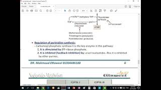 Pyrimidine Metabolism [upl. by Russom990]