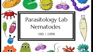 Parasitology Lab  Nematodes [upl. by Melac]