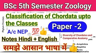 classification of phylum chordata bsc 5th semesterclassification of phylum chordatachordata phylum [upl. by Paolina]