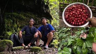 Exploring a Mysterious Place in My Village Arunachal Pradesh Collecting Wild Berries and Veggies [upl. by Ezarras]