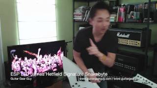 ESP LTD James Hetfield Snakebyte guitar chat [upl. by Eentrok]