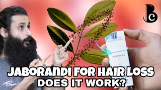 Jaborandi  A Natural Treatment For Hair Loss Balding amp Hair Growth  Bearded Chorka [upl. by Mcleod]