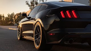 Ford Mustang S550 2015 On Performance Parts [upl. by Macguiness7]