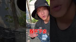 【老祖宗的智慧】看到這樣的絲瓜直接踩爛 天然菜瓜布製作大公開！｜絲瓜｜菜瓜布 [upl. by Halli]