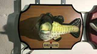 RC Billy Bass Boubou Fish recordings [upl. by Aicileb730]