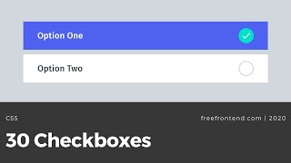 30 CSS Checkboxes [upl. by Adnomar560]