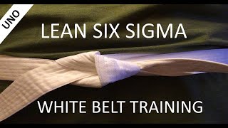 Intro to Lean Six Sigma White Belt Training Part 1 [upl. by Eehc]