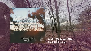 Daniel Helmstedt  Wuhli Original Mix DSRDIGI039 [upl. by Rundgren280]