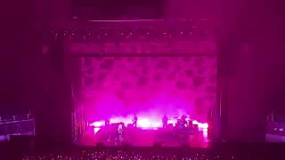 Television  So Far So Good  Rex Orange County Live in Manila 2023 [upl. by Einahpad]