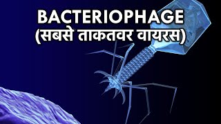 सबसे ताकतवर वायरस जो बदल सकता है पूरी दुनिया The Bacteriophage Virus In Hindi [upl. by Limann790]