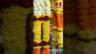 Ganesh Chaturthi 2023  Decor ideas decoration youtubeshorts [upl. by Hareema]