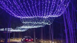 2024 Safari Lights  Safari Niagara  A 3km Dazzling Holiday Lights Drive Thru [upl. by Akirdna]