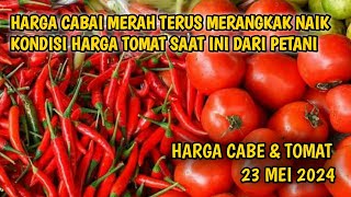 Kondisi Harga cabai rawit hari ini 23 Mei 2024  Info harga tomat dan cabai saat ini di Jawa Timur [upl. by Statis933]