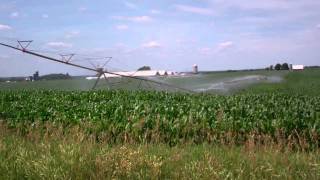 Irrigating corn fieldmp4 [upl. by Touber903]