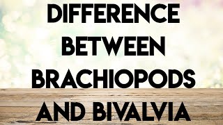 Geology palaeontologyecture series difference between brachiopods and bivalvia [upl. by Fretwell]