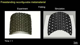 Freestanding reconfigurable metamaterial [upl. by Amadeo]