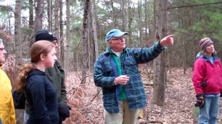 Naturalist Peter OShea Talks About Basswood and Sapsuckers [upl. by Mcafee]