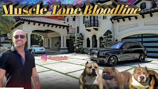 American Bully Bloodlines Muscletone Bullies Episode 3 [upl. by Eon]