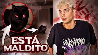 Este gato negro es una bruja… [upl. by Addie183]