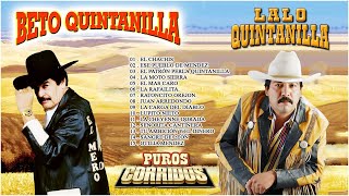 Beto Quintanilla y Lalo Quintanilla ❤ Canciones inolvidables [upl. by Sissel445]