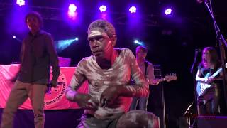 Treaty  Yothu Yindi amp The Treaty Project Live [upl. by Ahseenak]