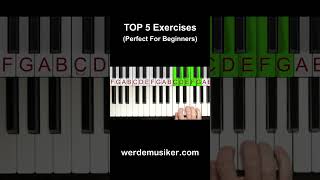 TOP 5 Piano Exercises For Beginners [upl. by Nnewg787]