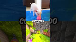 TODOS Pensaban que Este YouTuber Era un Psicópata 😭🐖 shorts curiosidades [upl. by Anoirb]