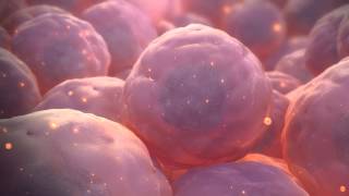 Stem Cell Animation [upl. by Bernelle]