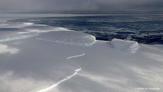 The Ross Sea Antarctic Marine Park  Behind the News [upl. by Catlin831]