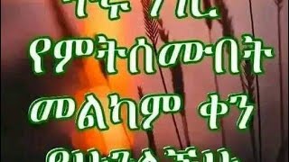 Zuzu wussen Tube ዙዙ ቲዮብ is liveጥሩ ነገር የምንሠማበት መልካም ቀን ይሁንልንን [upl. by Ramsa105]