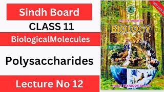 Polysaccharides Class 11 Chp1 Biological Molecules  Sindh text book board [upl. by Mccallum]