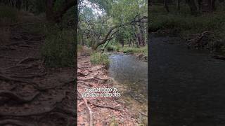 Trail bike ride beauty…peaceful trailride [upl. by Postman924]