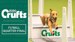 Flyball  Quarter Finals Day 2  Part one  Crufts 2020 [upl. by Tombaugh821]