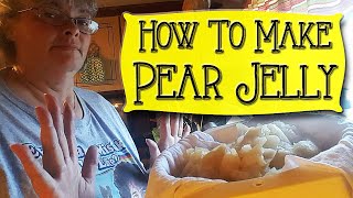 A New Pearspective  How to Make Pear Jelly [upl. by Chlores925]