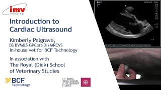 IMV imaging cardiac ultrasound video 1  Introduction to performing an echo [upl. by Weisburgh]