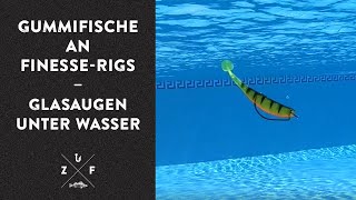 Gummifische an FinesseRigs – GLASAUGEN unter Wasser [upl. by Arst]