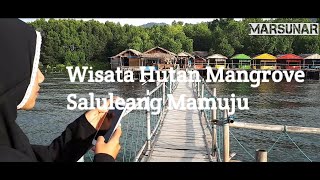 Wisata Alam Hutan Mangrove Saluleang Kec Kalukku Kab Mamuju [upl. by Calandra133]