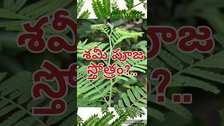 shamipooja vijayadashami durgama dussehra youtube trending short viral durgashtami telugu [upl. by Pardner]