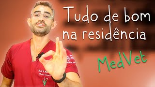 5 Vantagens de fazer residência veterinária  Residência 2 [upl. by Nuahs278]